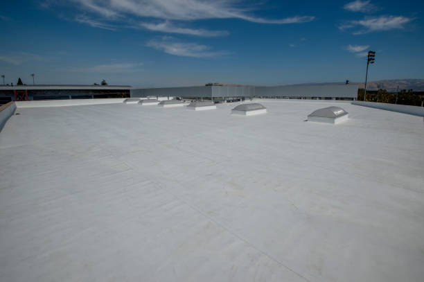 Best Roof Moss and Algae Removal  in Garrett, TX
