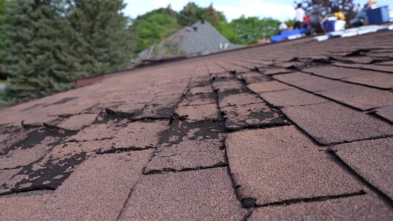 Best Storm Damage Roof Repair  in Garrett, TX